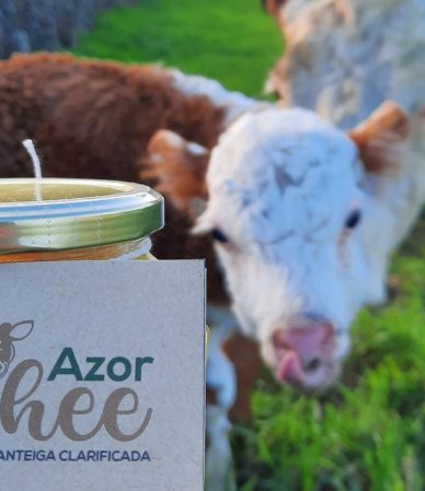 Frasco de manteiga ghee AzorGhee ao pé de uma vaco num pasto